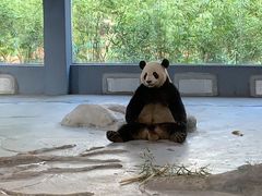 -海南热带野生动植物园