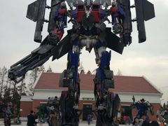 -上海长兴岛郊野公园