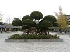 -桂林园博园
