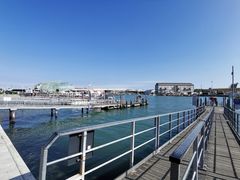 -圣马尔谷圣殿宗主教座堂