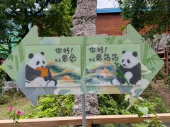 -灵玲国际马戏城