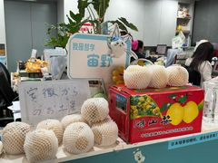 -帝京日语(春熙路旗舰校区)