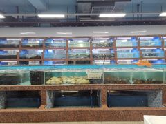水产区-渔人湾码头海鲜市场负二楼