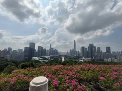 -莲花山公园