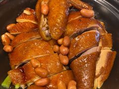 沙窝姜葱豉油鸡-食街•早茶•儿童套餐(长隆企鹅酒店)
