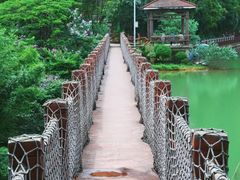 -广州白江湖森林公园