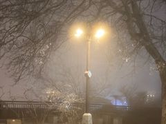 -庐山风景区花径公园