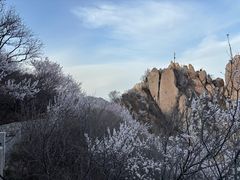 -北京凤凰岭