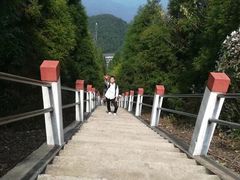 -江西阳明山国家森林公园