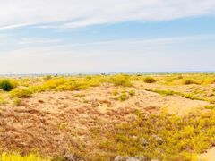-银肯塔拉沙漠生态旅游景区
