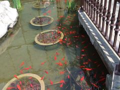 -聚缘堂·海鲜私房菜(松岭路店)