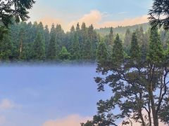 -武陵山森林公园