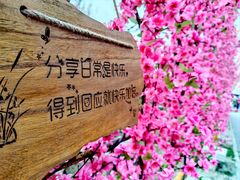 -北京凤凰岭