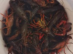 -江杨农产品批发市场