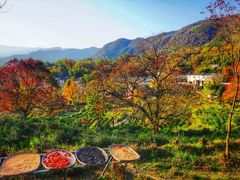 -塔川景区