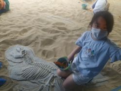 -恐龙探索乐园(磁器口店)