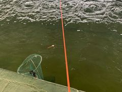 -会江钓鱼钓虾烧烤场