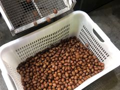 -粒上皇(悦荟广场店)