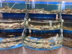 -蓝珊甄选海鲜自助·火锅大排档(近阿那亚店)