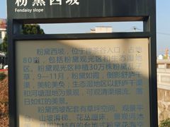 -金孔雀温泉旅游度假村