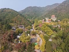 -遵化市禅林寺古银杏风景园