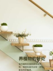 点击看大图 -iSpa
