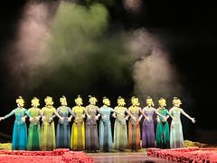 -顺德演艺中心大剧院