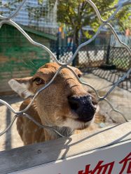 -萌宠亲子动物乐园(槐房万达店)