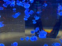 -杭州野生动物世界