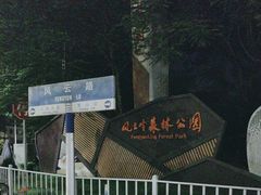 -风云岭森林公园