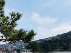 -庐山风景区花径公园