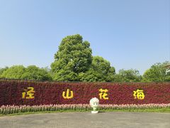 -径山花海