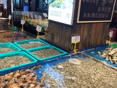 -船歌·鱼水饺青岛菜(闽江二路店)