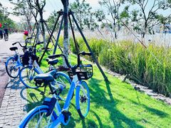 -上海山野camping·户外天幕烧烤·团建拓展营地