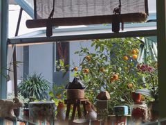 -芙蕾哥哥souffle