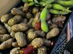 花毛一体-望京小腰(北京总店)