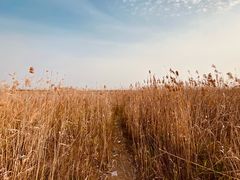 -南汇嘴观海公园