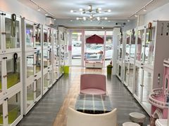 -青奢宠物·青奢猫舍