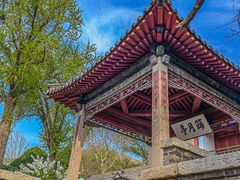 -泰山风景名胜区-普照寺