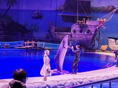 -华夏文旅海洋公园