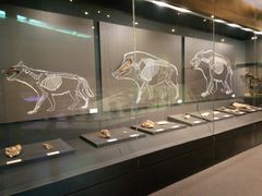 -北京周口店北京人遗址博物馆