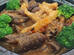 海参冬菇蹄筋煲-鸿记海鲜大酒楼(开发区店)