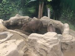 -北戴河圣蓝海洋公园