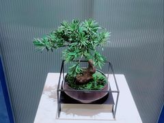 -青水瓦台汤泉(未央店)