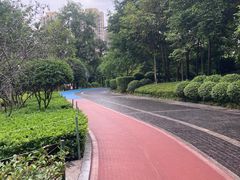 -龙头寺公园