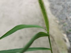-北京山里寒舍度假酒店