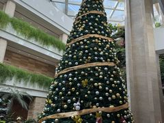 -广州白天鹅宾馆