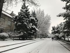 -中央民族大学
