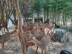 -观唐（国际）度假村温泉