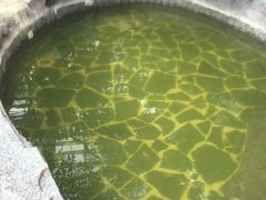 -龙达温泉生态城